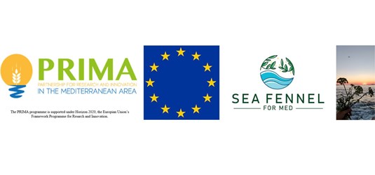 SEAFENNEL4MED: Budućnost mediteranske poljoprivrede počinje s petrovcom